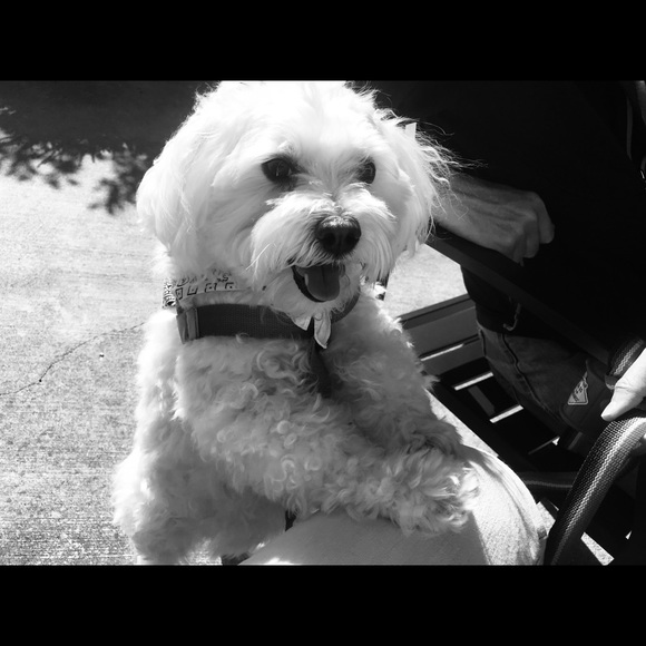 Meet your posher! - Picture 6 of 8